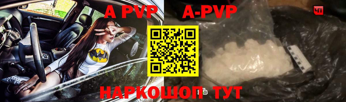 Alfa_PVP СК КРИС  Вход с VPN  Аргун 